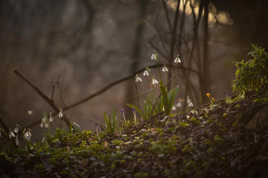 Big Spring Bucket List This year it’s high time to try what you have